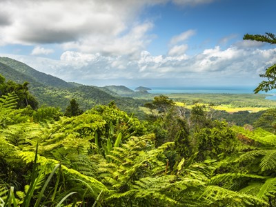 Uitzicht over het regenwoud en de kustlijn van Australië met groene heuvels en de oceaan in de verte.