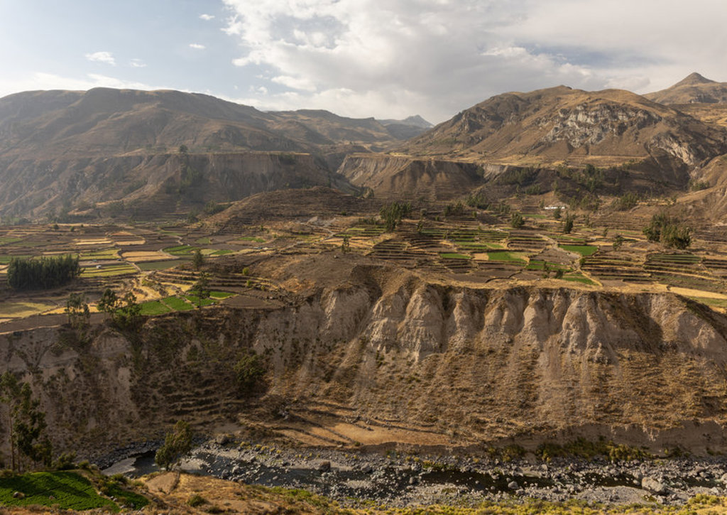 Terrasvormige akkers en berglandschap in de Colca Canyon, Peru, tijdens een groepsrondreis.