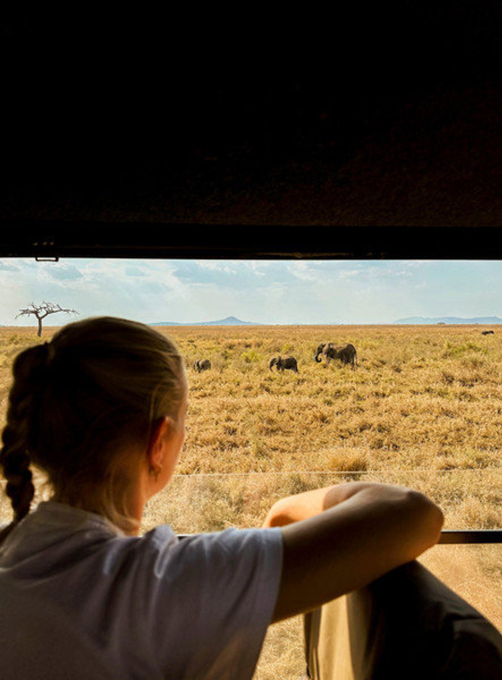 Reiziger spot olifanten tijdens safari in Kenia en Tanzania.