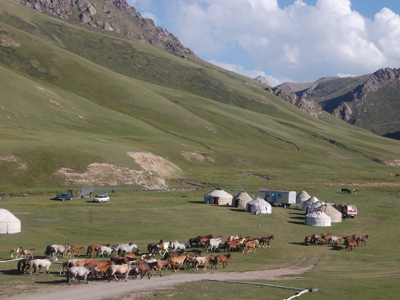 Paardenkudde bij een yurtkamp in een groene vallei langs de Zijderoute, met bergen op de achtergrond.