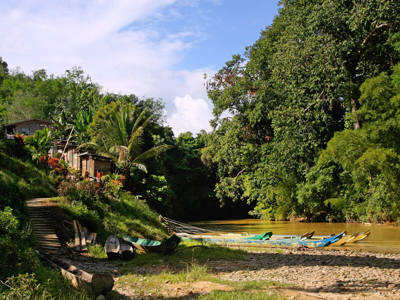 Houten longboats aan de oever van een rivier in Sarawak, Maleisisch Borneo, omringd door regenwoud.