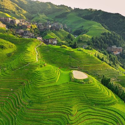 Mistige bergtoppen en groene bossen tijdens een groepsrondreis langs hoogtepunten in China.