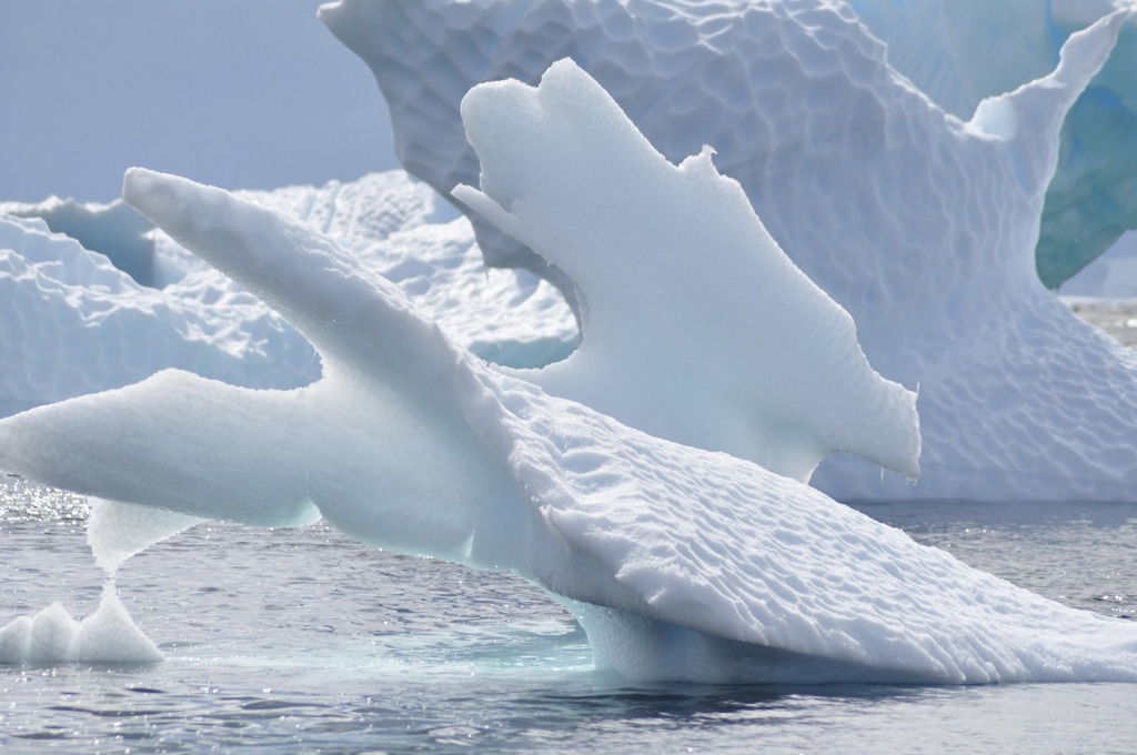 Grote ijsberg met grillige vormen in het water bij Antarctica tijdens een groepsrondreis.