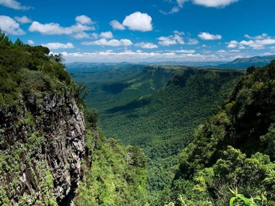 Uitzicht over de groene Blyde River Canyon met steile rotswanden en bergen onder een blauwe lucht.