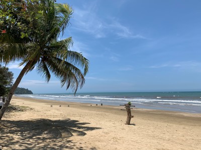 Palmbomen op een rustig zandstrand aan de kust van Maleisisch Borneo, met golven en blauwe lucht.