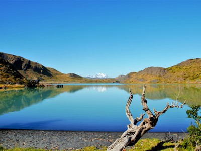 Rustig bergmeer in Patagonië met spiegeling van heuvels en besneeuwde bergtoppen onder een heldere blauwe lucht.