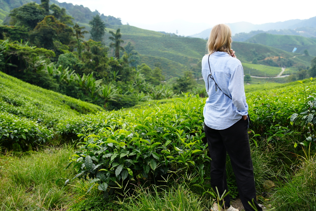 Reiziger kijkt uit over groene theeplantages in de Cameron Highlands tijdens een familiereis Maleisië.