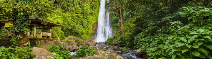 Gitgit Waterfall op Bali, waterval in weelderig groen met rotsen en beek op de voorgrond.