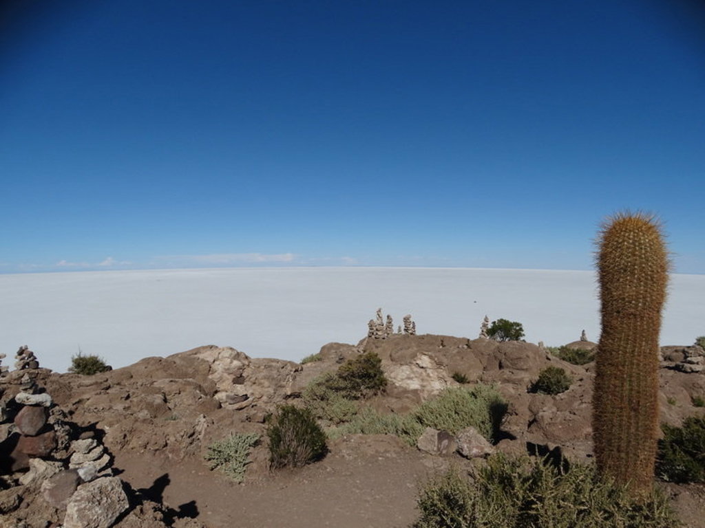 Cactussen en rotsen op Isla Incahuasi met uitzicht over de Salar de Uyuni tijdens groepsrondreis Bolivia en Chili.