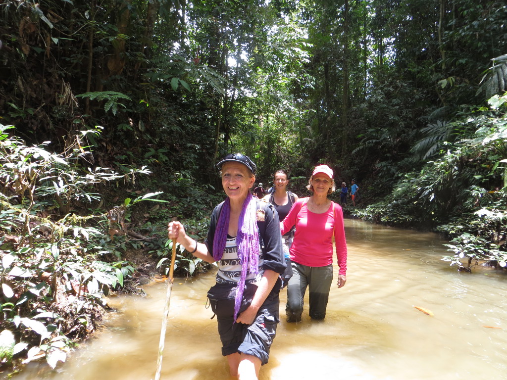 Groepsrondreis Maleisisch Borneo: reizigers waden door een rivier in het regenwoud van Sarawak en Sabah.