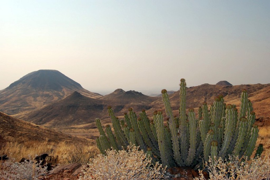 Woestijnlandschap in Namibië met heuvels en cactussen tijdens een groepsrondreis met lodge/hotel.