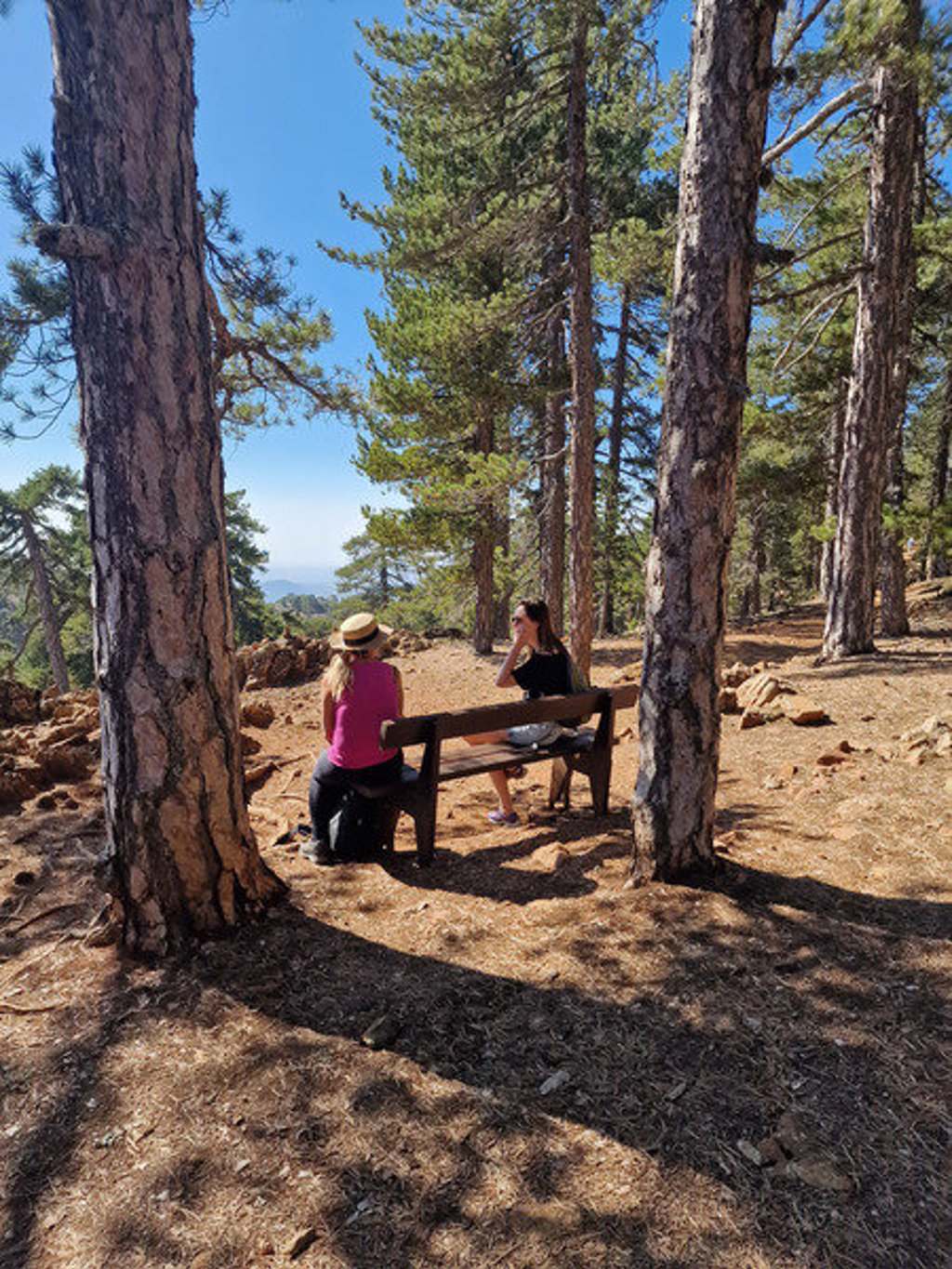Rustpauze tijdens wandelvakantie op Cyprus, twee wandelaars op bankje in dennenbos met uitzicht.