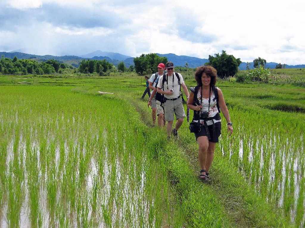 Groepsrondreis Laos & Cambodja: reizigers wandelen door rijstvelden met bergen op de achtergrond.