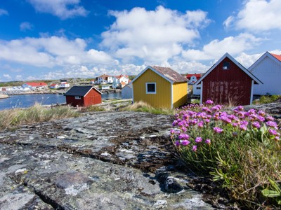 Kleurrijke vissershuisjes aan de kust in Scandinavië, met rotsen en paarse bloemen op de voorgrond.