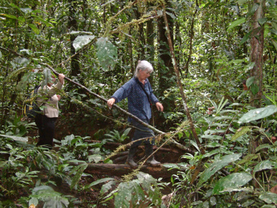Wandelaars op junglepad in Ecuador tijdens de route Ecuador en Galapagos.