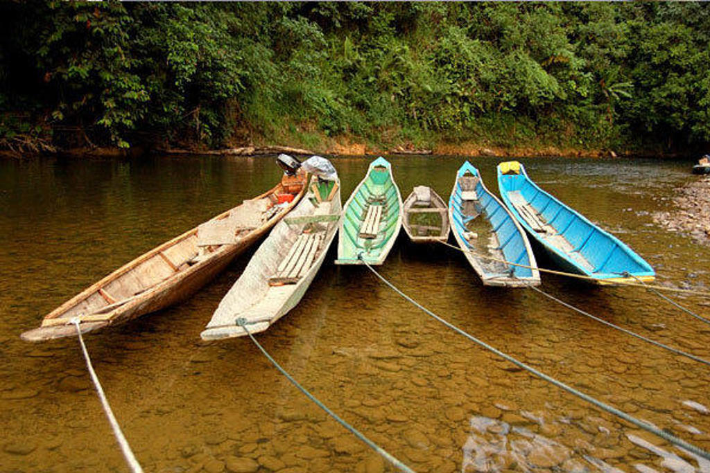 Traditionele houten bootjes aan de oever van een rivier in Kalimantan, Indonesië.