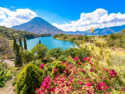 Uitzicht op het Atitlánmeer met vulkaan San Pedro en kleurrijke bloemen in de voorgrond, Guatemala.