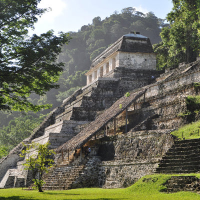 Maya-tempel in Palenque, Mexico, tussen groene jungle.