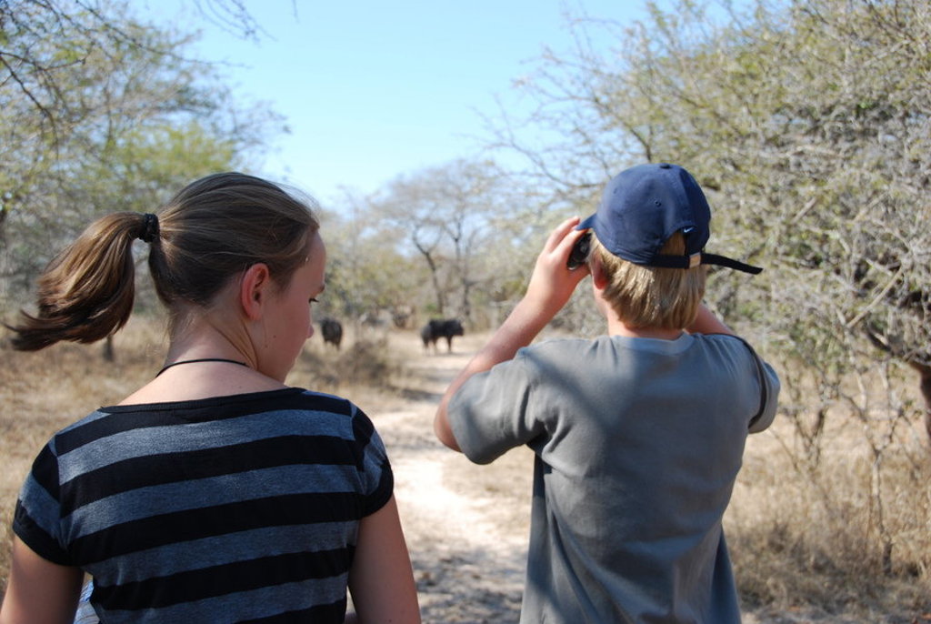 Kinderen spotten wildlife tijdens een safari in Zuid-Afrika, op zoek naar de Big Five.