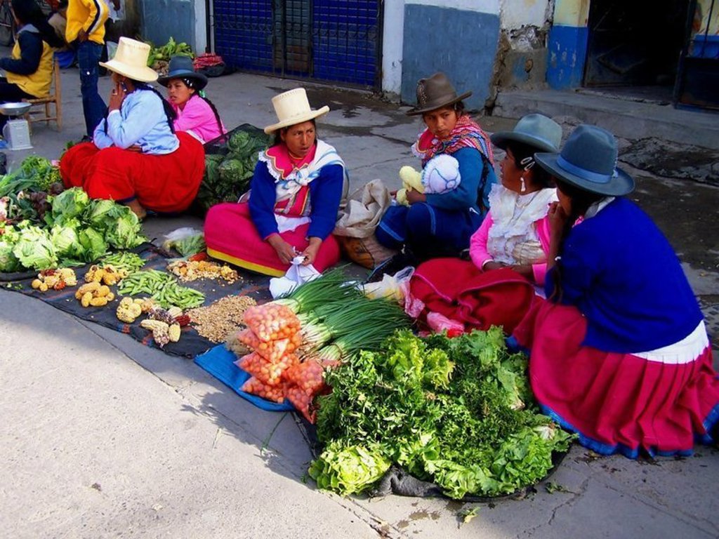 Cactussen in het woestijnlandschap van Noord-Peru tijdens een groepsrondreis.