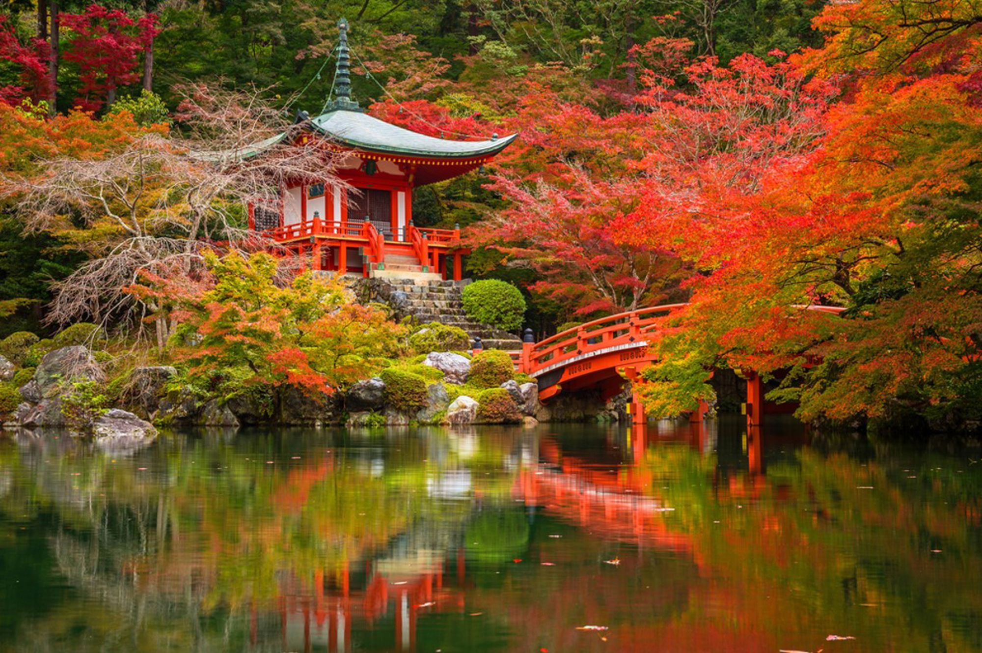 Japanse tempel met rode brug aan een vijver, omringd door herfstkleuren.