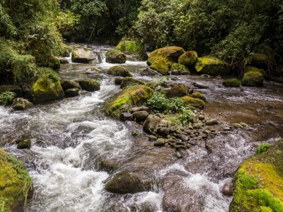 Snelstromende rivier met mosbedekte rotsen in het regenwoud van Costa Rica.