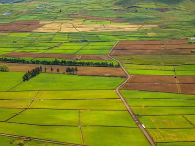 groene landbouwvelden op de Azoren langs de route Azoren rondreis.