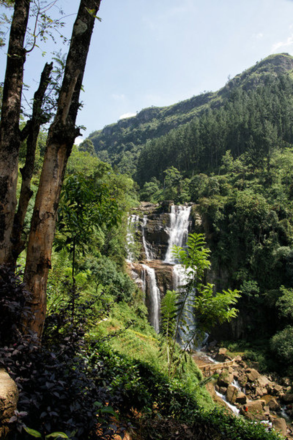 Waterval in het groene berglandschap van Sri Lanka tijdens een groepsrondreis.