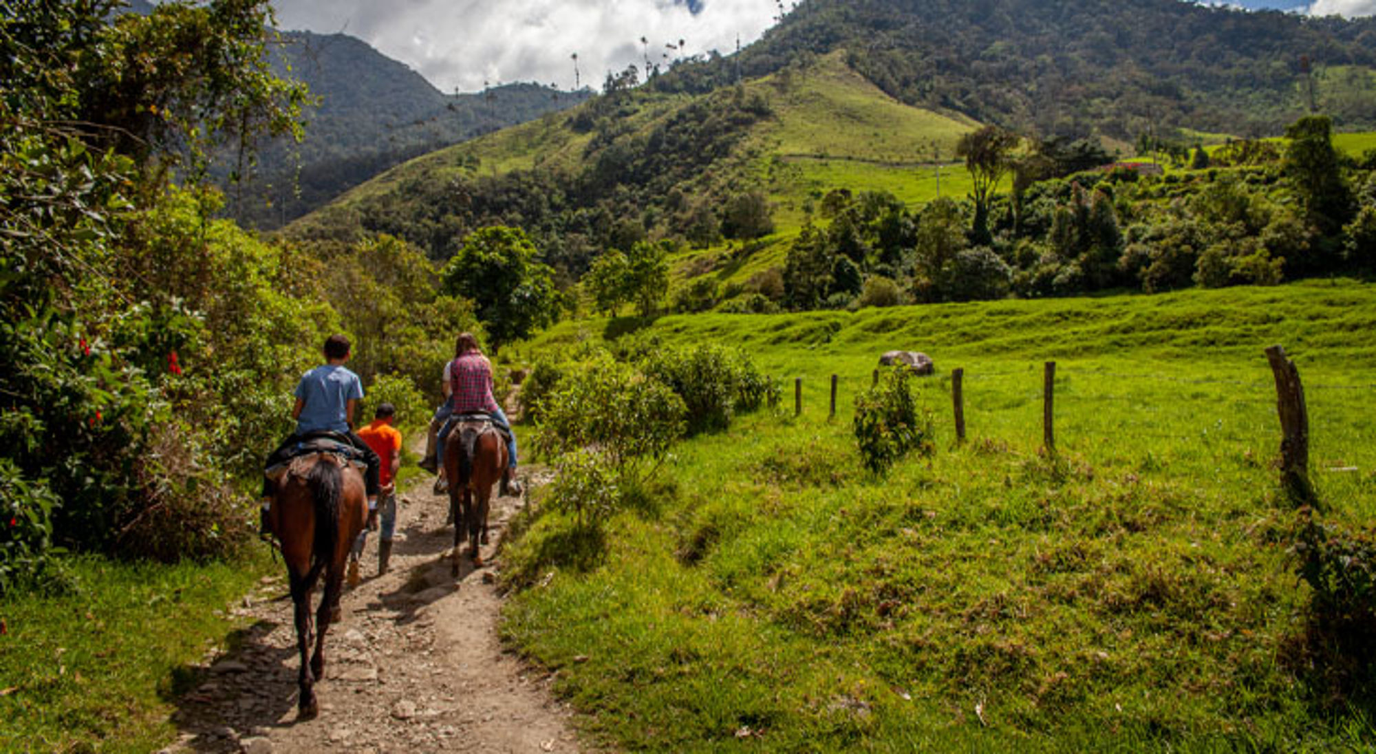Paardrijden Salento Ruiters te paard op een landweg door groene heuvels en bergen in Colombia.