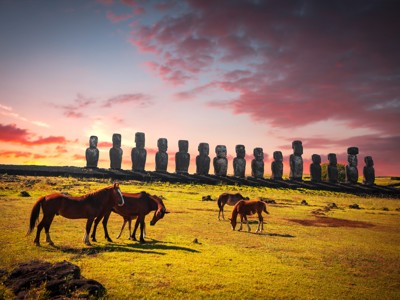 Moai-beelden op Paaseiland bij zonsondergang, met grazende paarden op de voorgrond.
