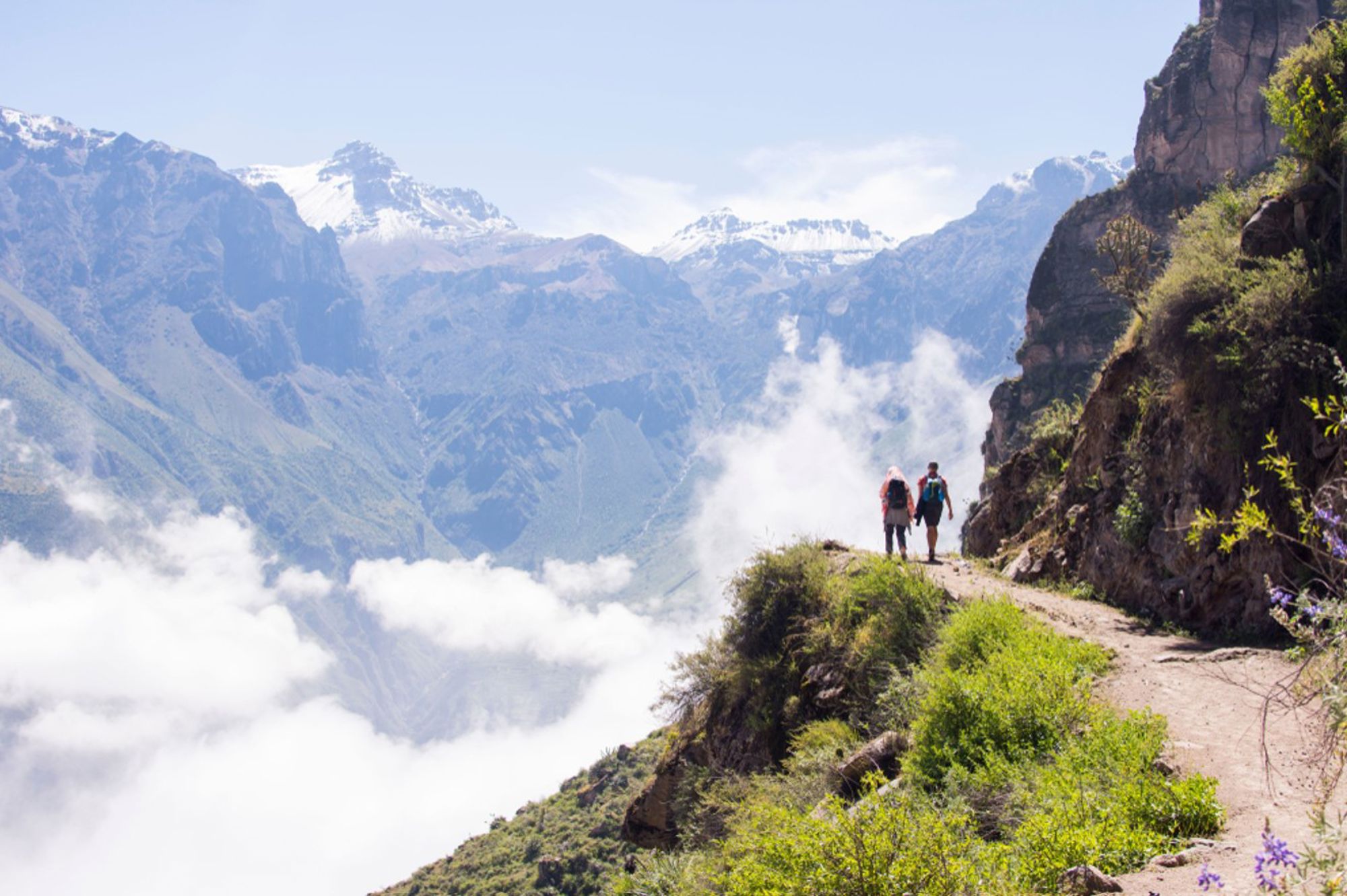 Wandelaars op bergpad met uitzicht op de Colca Canyon en besneeuwde Andes-bergen in Peru.