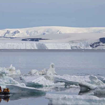Pinguïnsafari tijdens groepsrondreis Antarctica en South Georgia.