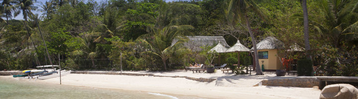 Tropisch strand op Whale Island in Vietnam met palmbomen, ligbedden en boten aan de kust.