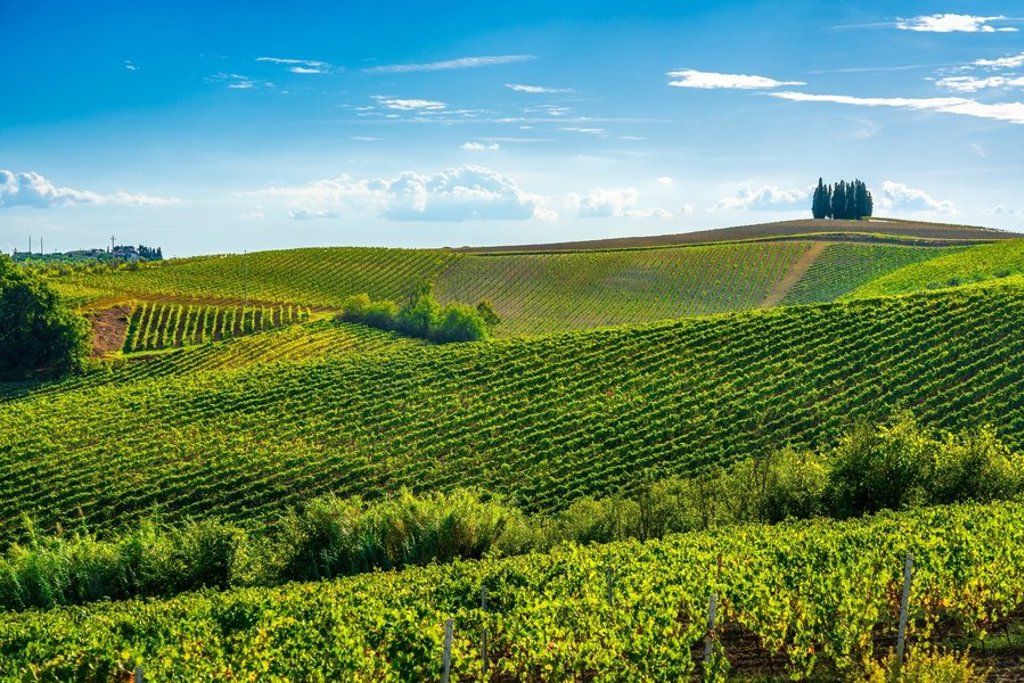 Fietsvakantie in Toscane langs glooiende heuvels en cipressen.