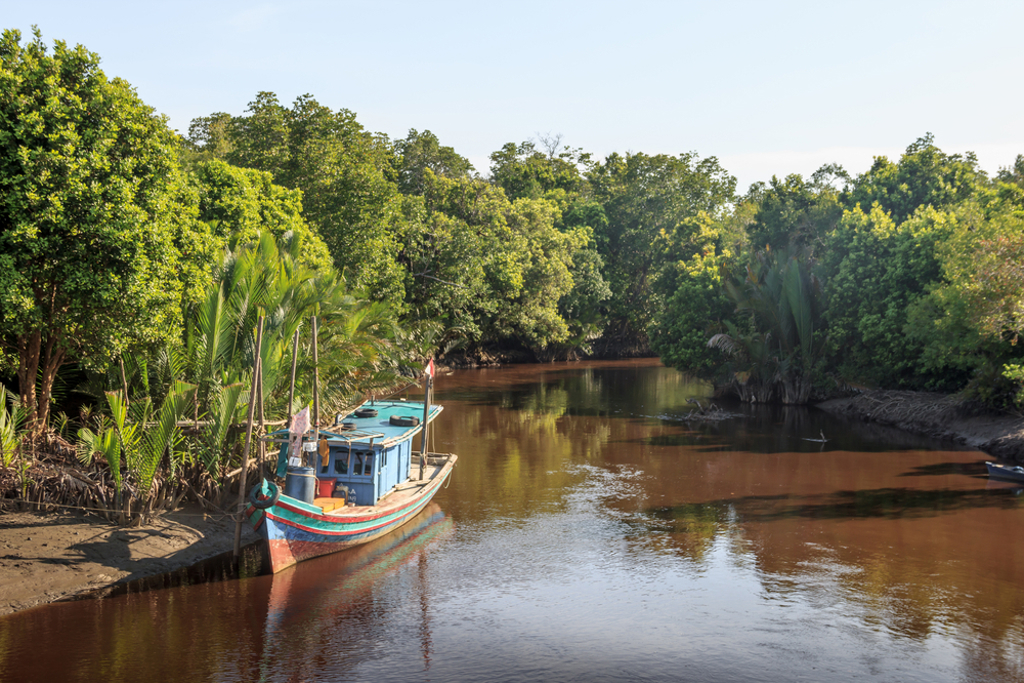 Boot op een rivier tussen tropisch regenwoud in Kalimantan, Indonesië.