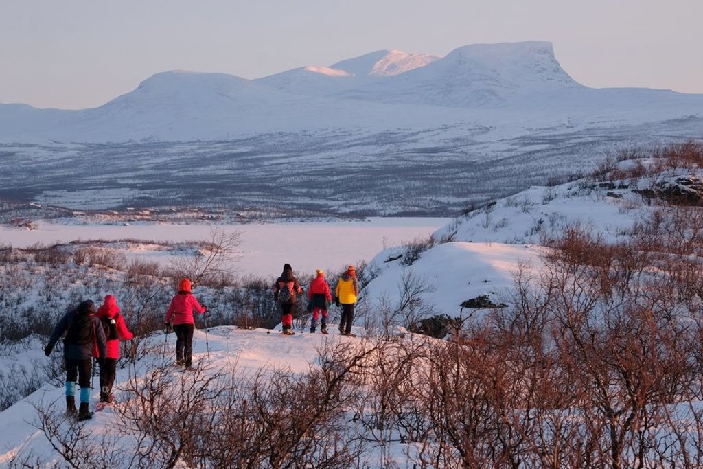 Besneeuwd landschap in Zweeds en Noors Lapland tijdens een groepsrondreis.