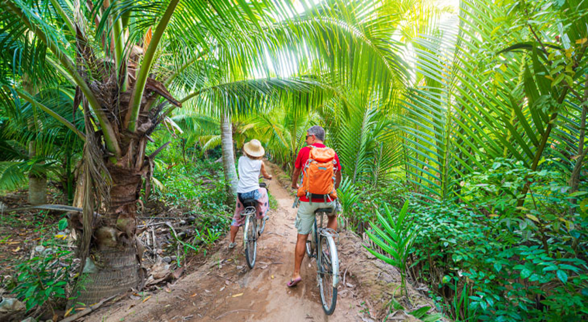 Fietstocht door een tropische palmbossenroute in Vietnam.