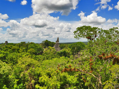 Uitzicht over de jungle met Mayatempels van Tikal onder een blauwe lucht met wolken, Route Ruta Maya.
