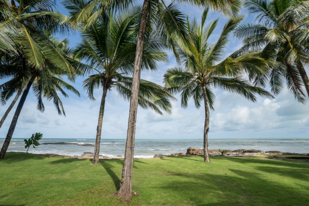 Palmbomen aan het strand in Thailand, ideaal voor een familiereis Thailand Comfort-Plus.