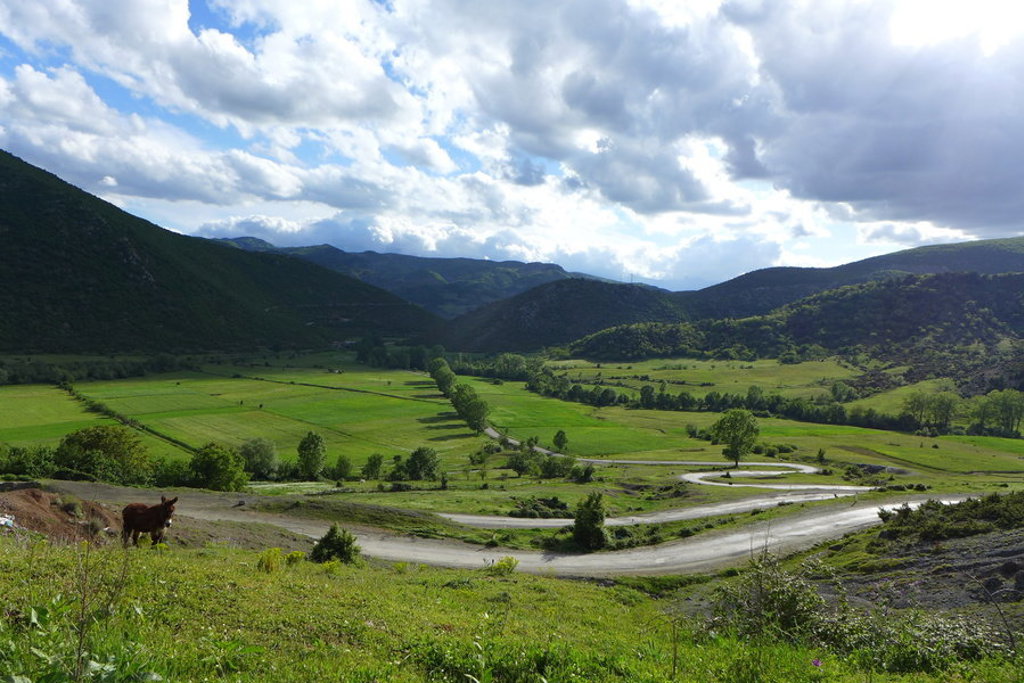 Groene vallei met kronkelende weg en bergen onder een bewolkte lucht in Albanië.