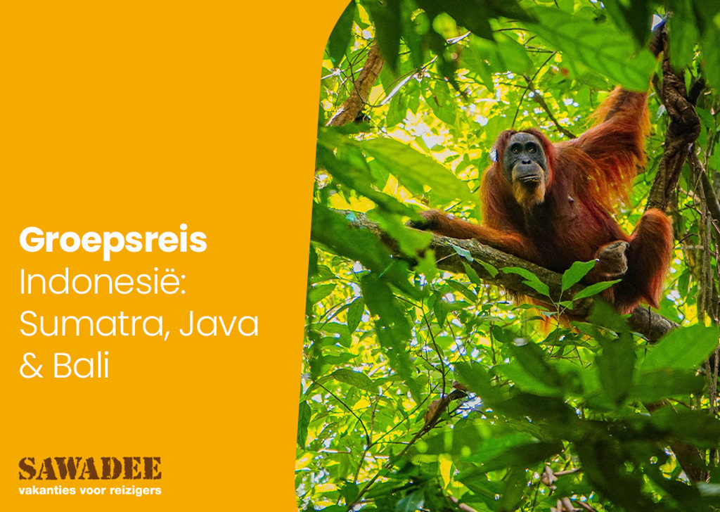 YouTube-thumbnail-umbraco-sumatra.jpg
