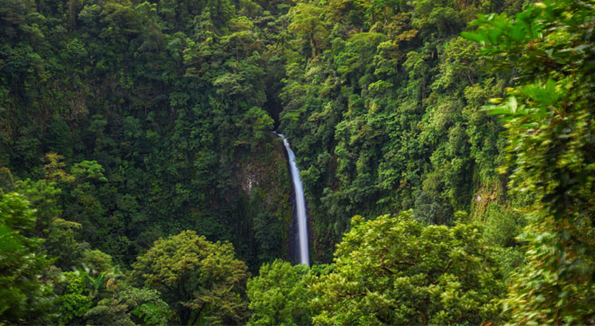 Waterval in het groene regenwoud van Costa Rica.