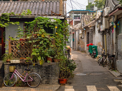 Smalle hutong-steeg in Beijing met traditionele huizen, fietsen en groene planten langs de gevels.