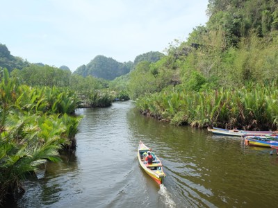 Boottocht over een rivier door tropisch mangrovebos in Sulawesi.