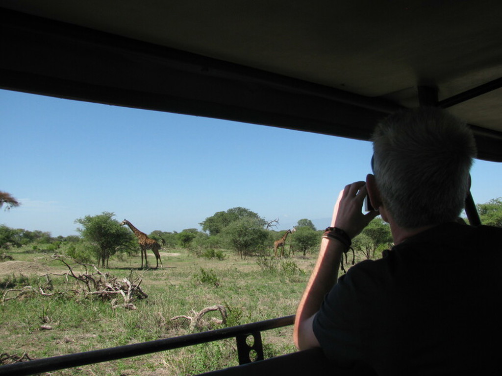 Safari in Kenia en Tanzania: reiziger fotografeert giraffen vanuit een safariauto.