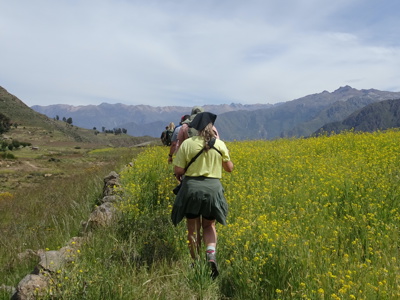 Wandelaars op route door berglandschap in Peru langs geelbloeiende velden.