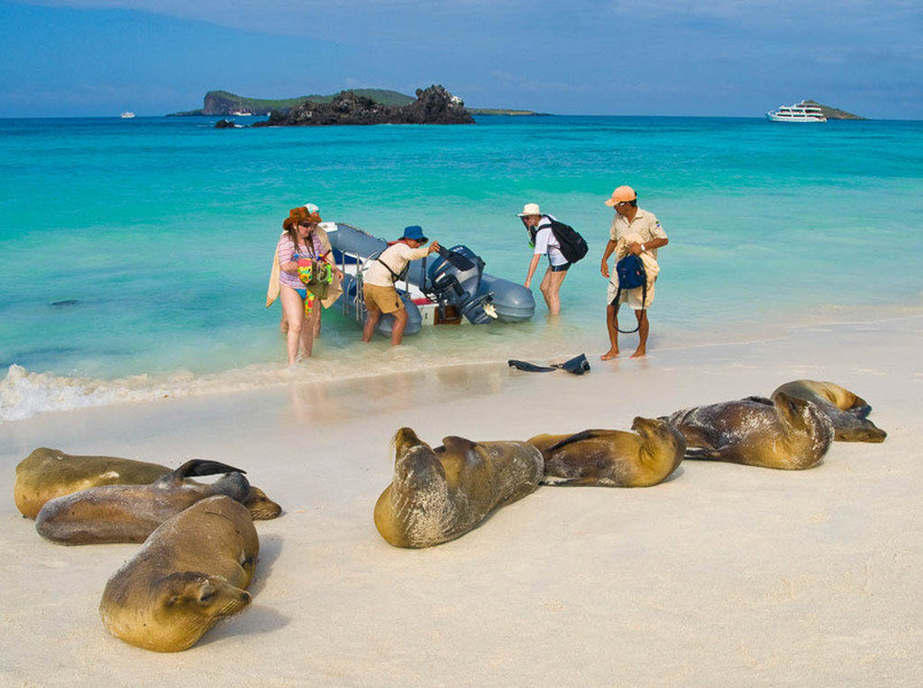 Zeeleeuwen rusten op het strand terwijl reizigers aanlanden met een rubberboot op de Galapagoseilanden.