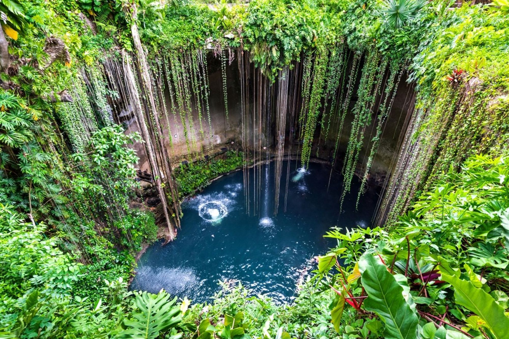 Cenote Ik Kil bij Chichén Itzá in Mexico, met hangende lianen en helderblauw water.