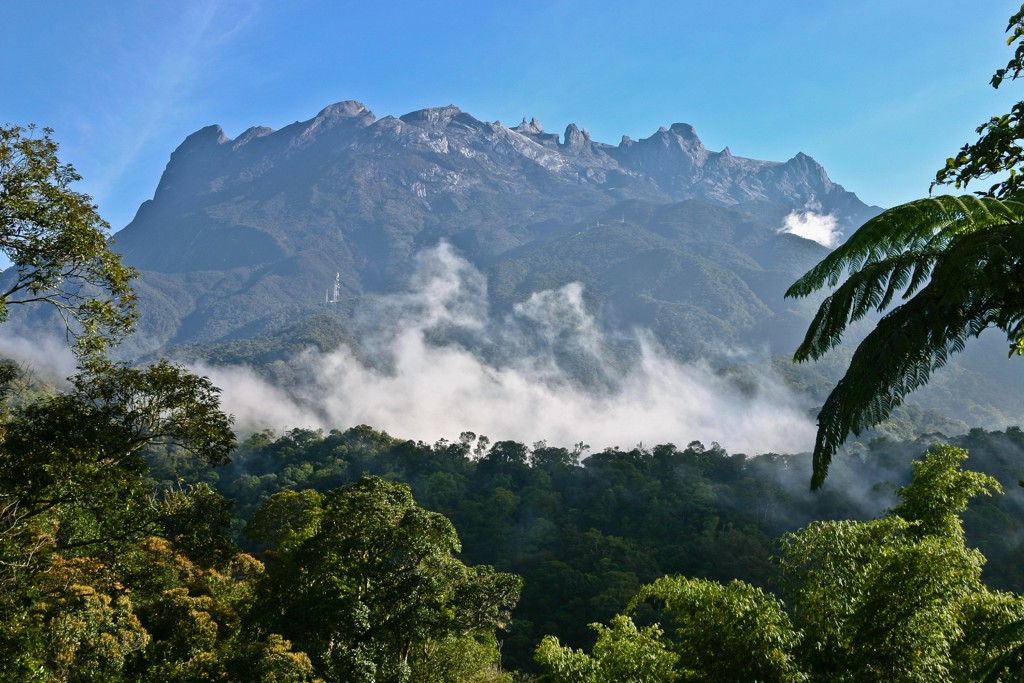Mount Kinabalu boven het regenwoud van Sabah, Maleisisch Borneo, met mistflarden in de vallei.