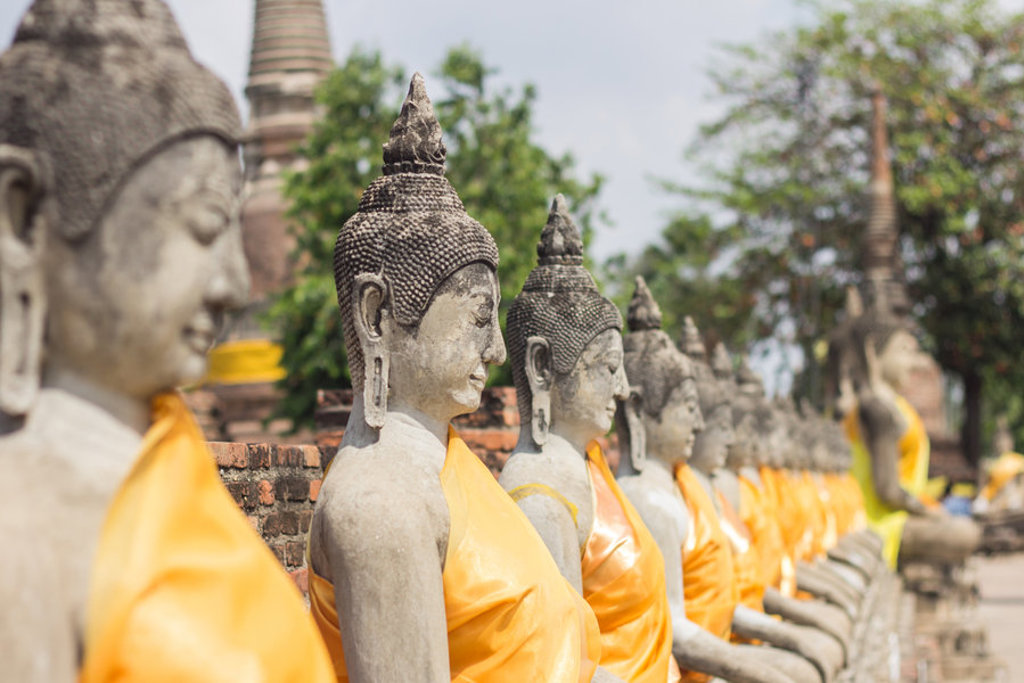 Rij boeddhabeelden met oranje gewaden bij een tempelcomplex in Thailand tijdens een groepsrondreis.